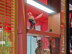 -满园烤鸭·春饼(沈北万达店)