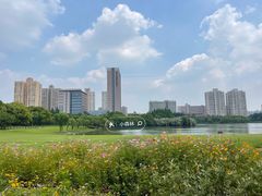 -黄兴公园