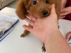 -美联众合24小时·皮肤科·外科·全科诊疗中心(华苑分院)