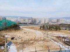 -青藏高原野生动物园