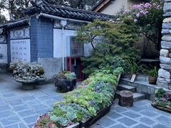 -寂照庵