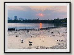 -海珠湖公园