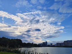 -飞来湖湿地公园