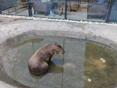 -廊坊固安福朋喜来登酒店