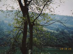 -山王坪喀斯特国家生态公园