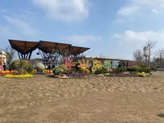 -上海长兴岛郊野公园