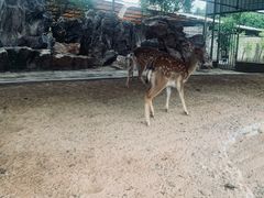 -八景休閒山莊  廣東十大名山莊