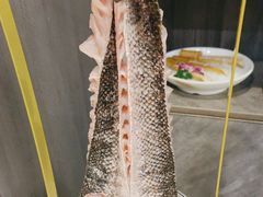 -大龙火锅(龙潭寺旗舰店)
