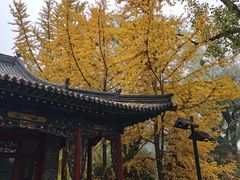-晋祠公园