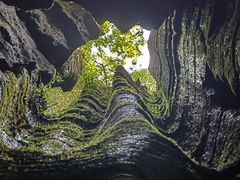 -梭布垭石林景区