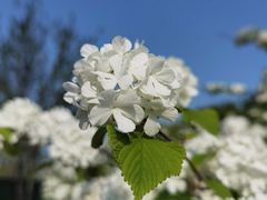 -白塘生态植物园