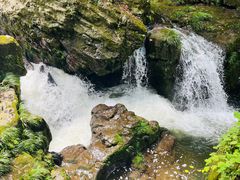 -龙苍沟森林公园