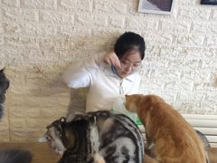 -平行世界·猫咖(首经贸店)