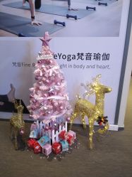 -FineYoga梵音瑜伽·普拉提