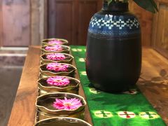 -松赞拉萨林卡酒店