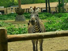 -大连森林动物园