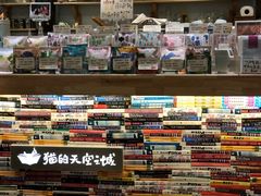 -猫的天空之城概念书店(杭州南宋御街店)