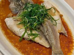 冬菜蒸鲈鱼-虾饺妹·酒家(金碧店)
