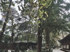 -宝光寺
