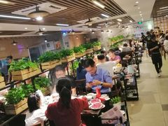 大堂-八合里潮汕鲜牛肉火锅(深圳海岸城店)