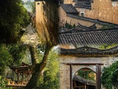 -杨家堂村