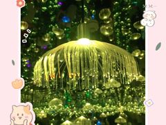 -深圳独角兽星空艺术馆