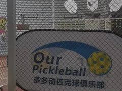 -Our Pickleball多多动匹克球俱乐部(世博源店)