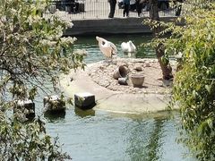 -昆明动物园