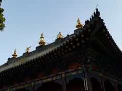 -护国法轮寺