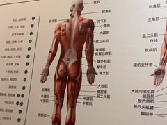 -通透堂中医·精准推拿(万科云城分院)