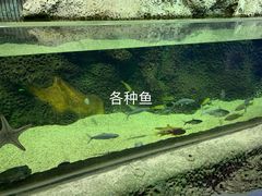 -萌宠奇缘