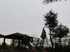 -石家庄市动物园