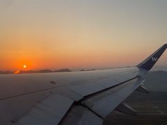 -德禄酸奶(莫家街店)