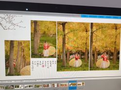 点击看大图 -苹果树儿童摄影工作室