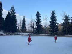 -武陵山森林公园