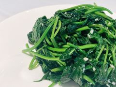 清炒番薯叶-花城苑广府菜(侨鑫店)