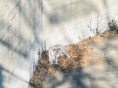 -北京动物园