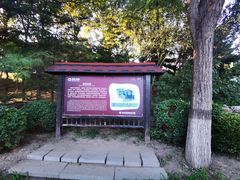 -大兴滨河森林公园