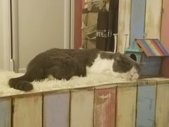 -小时光咖啡馆(开森度假森林店)