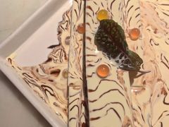 椰香奶豆腐-绿茶餐厅(海岸城店)