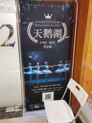 -艾薇芭蕾艺术中心
