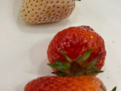 -第六季自助餐厅(甜水园店)