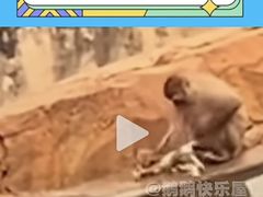 -昆明动物园