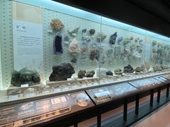 -浙江自然博物院(杭州馆)