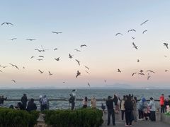 -东港音乐喷泉广场