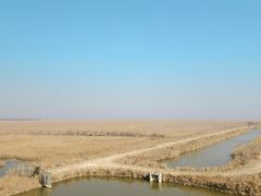 -盐城丹顶鹤湿地生态旅游区