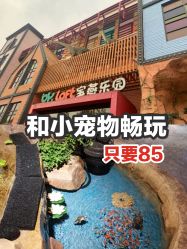 -宝燕乐园(闵行旗舰店)