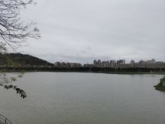 -风云岭森林公园