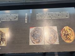 -浙江自然博物院(杭州馆)