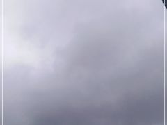 -枸杞岛